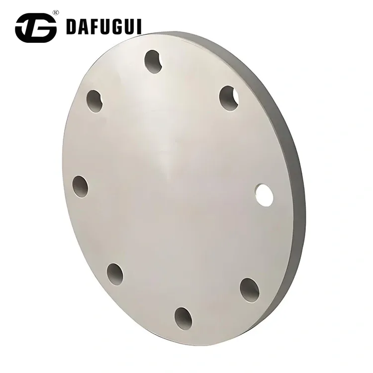 Brides aveugles duplex en acier S32205