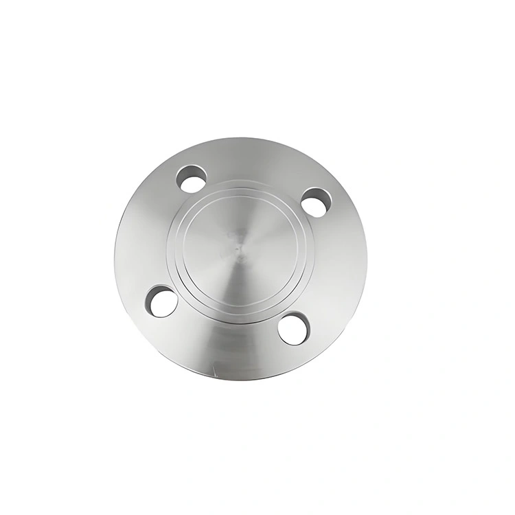 304 Stainless Steel Slip on Flange